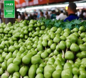 榛子蘑批发，绿色食品新贵，引领市场新趋势